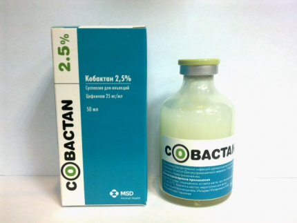 Кобактан  2,5% 50мл  ветаптека  ИппоВет (IppoVet)