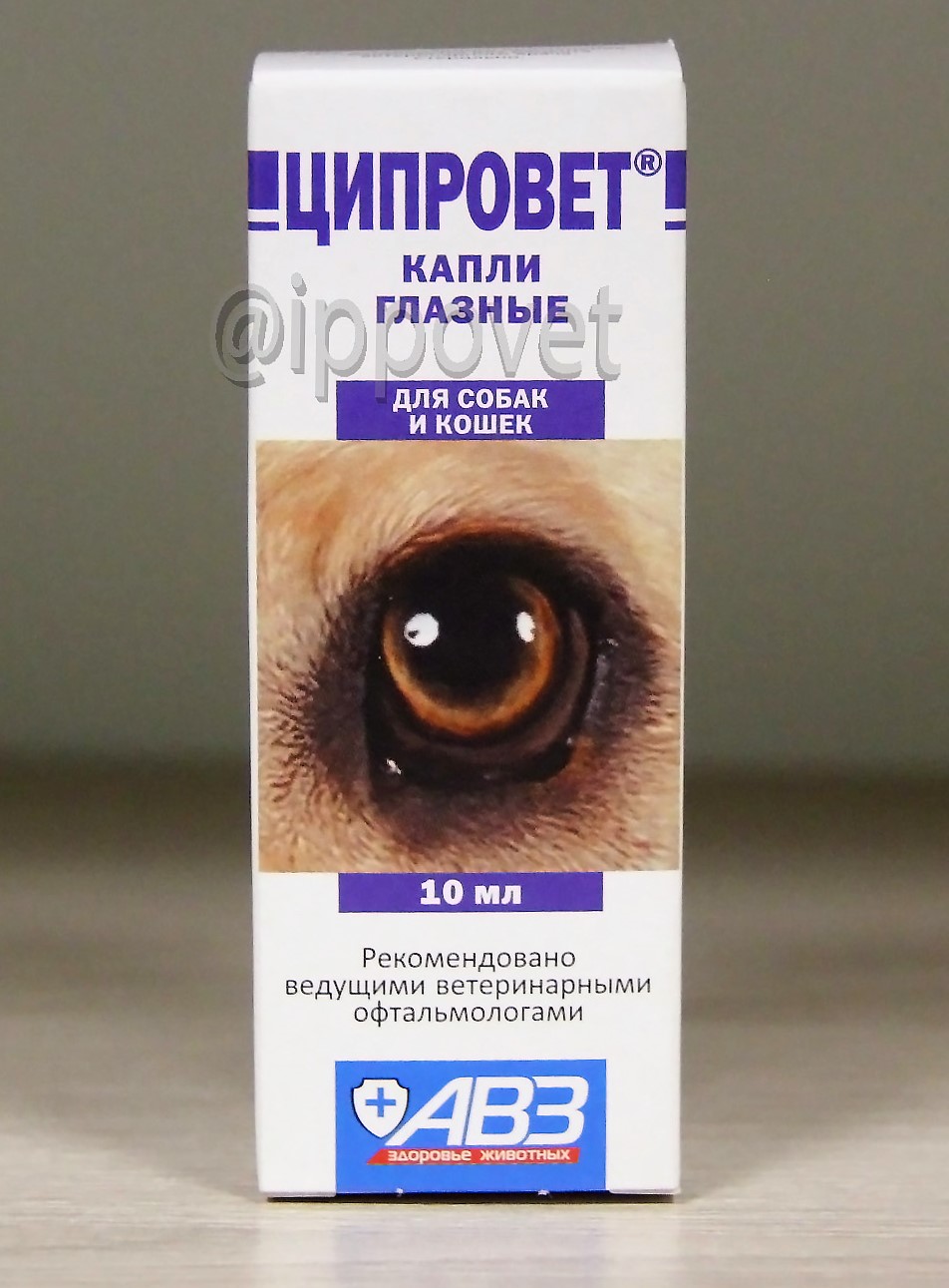 Ципровет глазные капли 10мл ветаптека  ИппоВет (IppoVet)