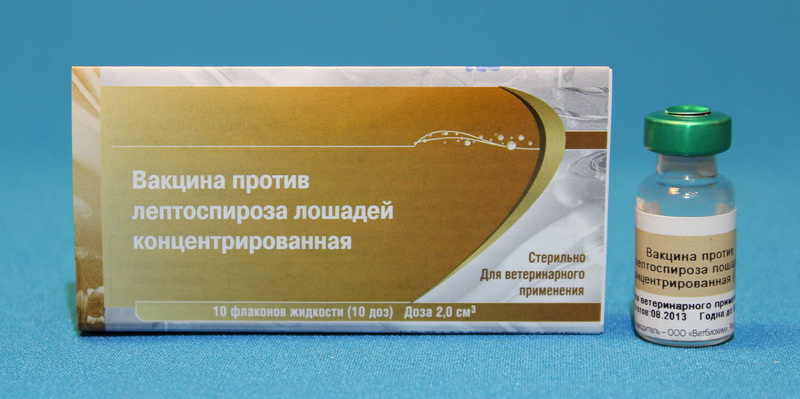 Лептоспироз вакцина 1 доза. ветаптека  ИппоВет (IppoVet)